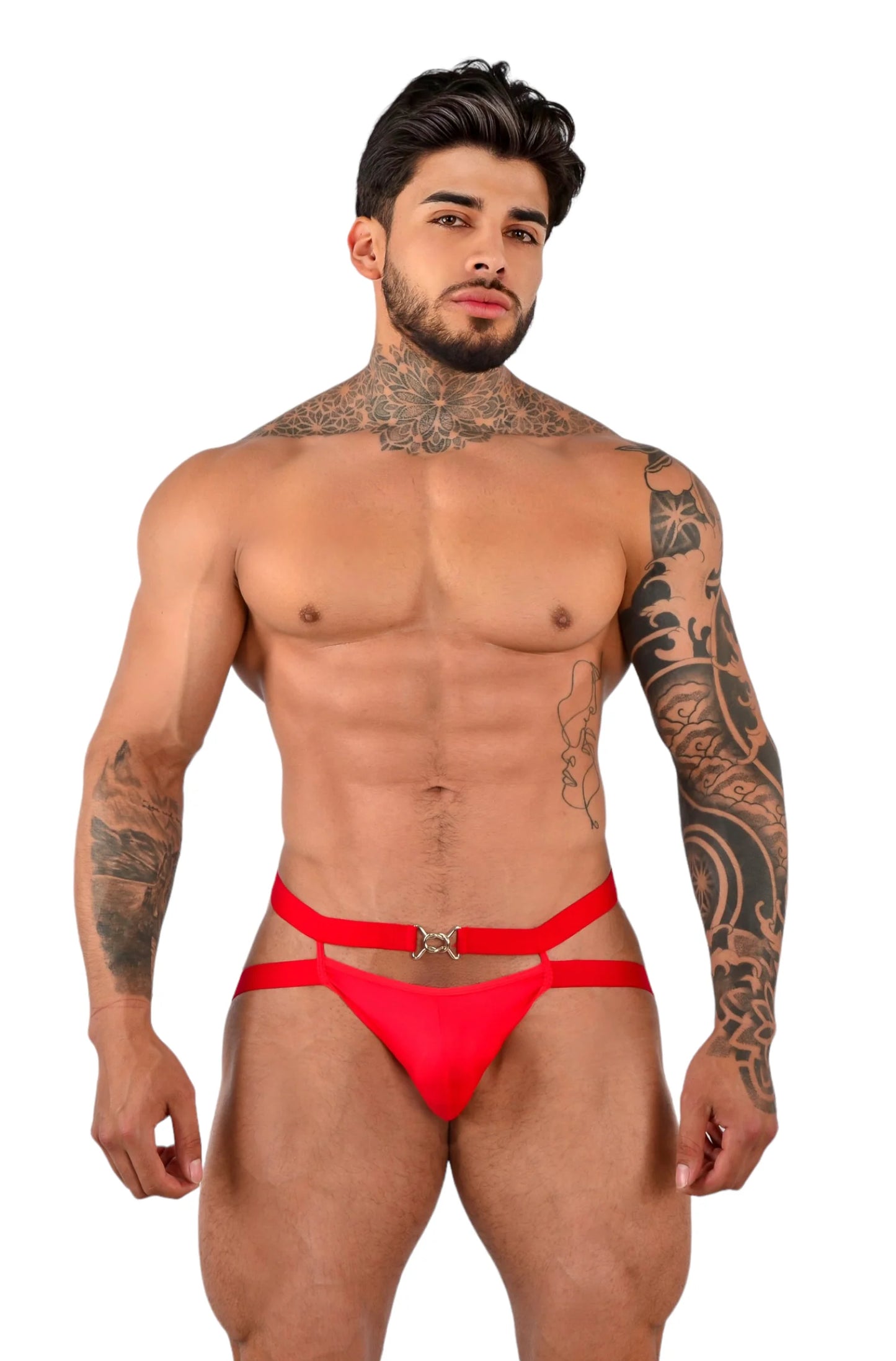 BOXER ALEX