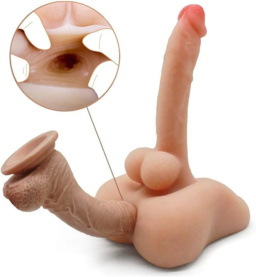 MEDIO TORSO PAUL